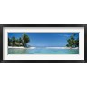 Panoramic Images - Palm trees on the beach, Tikehau, French Polynesia (R761751-AEAEAGOFDM)