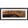 Panoramic Images - Vineyards along a road, Beaulieu Vineyard, Napa Valley, California, USA (R762324-AEAEAGOFDM)