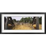 Panoramic Images - Ranch cattle chute in a field, North Dakota, USA (R762403-AEAEAGOFDM)