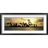 Panoramic Images - Silhouette of palm trees on an island at sunset, Laughing Bird Caye, Victoria Channel, Belize (R762598-AEAEAGOFDM)