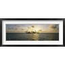 Panoramic Images - Silhouette of palm trees on an island, Placencia, Laughing Bird Caye, Victoria Channel, Belize (R762601-AEAEAGOFDM)
