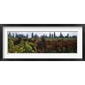 Panoramic Images - Vineyards with trees in the background, Apennines, Emilia-Romagna, Italy (R762850-AEAEAGOFDM)