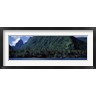 Panoramic Images - Trees on the coast, Tahiti, French Polynesia (R763072-AEAEAGOFDM)