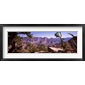 Panoramic Images - Mountain range, South Rim, Grand Canyon National Park, Arizona (R763515-AEAEAGOFDM)