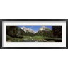 Panoramic Images - Stream flowing through a forest, Mt Santis, Mt Altmann, Appenzell Alps, St Gallen Canton, Switzerland (R763692-AEAEAGOFDM)