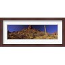 Panoramic Images - Organ Pipe Cactus National Monument, Arizona (R763773-AEAEAGLFGM)