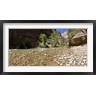Panoramic Images - North Fork of the Virgin River, Zion National Park, Washington County, Utah, USA (R763912-AEAEAGOFDM)