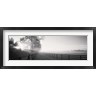 Panoramic Images - Ranch at dawn, Woodford County, Kentucky, USA (R764001-AEAEAGOFDM)