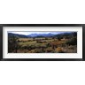 Panoramic Images - State Highway 62, Ridgway, Colorado (R764393-AEAEAGOFDM)