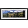 Panoramic Images - Trees on mountains, Ridgway, Colorado, USA (R764394-AEAEAGOFDM)