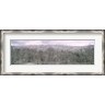 Panoramic Images - Snow covered forest, Kentucky, USA (R764536-AEAEAGKFGE)