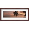 Panoramic Images - Silhouette of palm trees on the beach at sunrise, Fihalhohi Island, Maldives (R764619-AEAEAGLFGM)