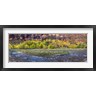 Panoramic Images - Virgin River at Big Bend, Zion National Park, Springdale, Utah, USA (R764730-AEAEAGOFDM)