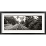 Panoramic Images - Railroad track, Napa Valley, California, USA (R765058-AEAEAGOFDM)