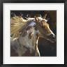 Carolyne Hawley - Spirit Horse (R766859-AEAEAGOFDM)