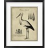 Vision Studio - Antiquarian Stork (R767049-AEAEAGOFLM)