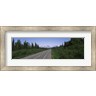 Panoramic Images - Road passing through a landscape, George Parks Highway, Alaska, USA (R773493-AEAEAGMFEY)