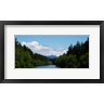 Panoramic Images - River flowing through a forest, Queets Rainforest, Olympic National Park, Washington State, USA (R774078-AEAEAGOFDM)