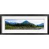 Panoramic Images - Quinault Rainforest, Olympic National Park, Olympic Peninsula, Washington State (R774106-AEAEAGOFDM)