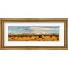 Panoramic Images - High desert plains landscape with snowcapped Sangre de Cristo Mountains in the background, New Mexico (R774273-AEAEAG8FE4)