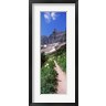 Panoramic Images - Hiking trail at US Glacier National Park, Montana, USA (R774996-AEAEAGOFDM)