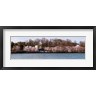 Panoramic Images - Cherry Blossom trees near Martin Luther King Jr. National Memorial, Washington DC (R775461-AEAEAGOFDM)