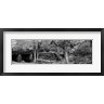 Panoramic Images - Glade Creek Grist Mill, Babcock State Park, West Virginia, USA (Black & White) (R775843-AEAEAGOFDM)