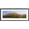 Panoramic Images - Reflection of trees in water, Turner River Road, Big Cypress National Preserve, Florida, USA (R776128-AEAEAGOFDM)