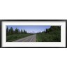 Panoramic Images - Road passing through a landscape, George Parks Highway, Alaska, USA (R776327-AEAEAGOFDM)
