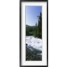 Panoramic Images - River flowing through a forest, Little Susitna River, Hatcher Pass, Talkeetna Mountains, Alaska, USA (R776809-AEAEAGOFDM)