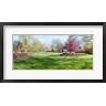 Panoramic Images - Trees in a Garden, Sherwood Gardens, Baltimore, Maryland (R777113-AEAEAGOFDM)