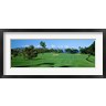 Panoramic Images - Trees , Kaanapali Golf Course, Maui, Hawaii, USA (R777395-AEAEAGOFDM)