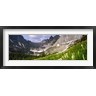 Panoramic Images - Beargrass with mountains in the background, Montana (R777849-AEAEAGOFDM)