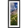 Panoramic Images - Beargrass with Mountains, Glacier National Park, Montana (R777850-AEAEAGOFDM)