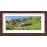 Panoramic Images - Wilderness area and Snake River, Crested Butte, Colorado, USA (R778010-AEAEAGLFGM)