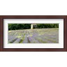 Panoramic Images - Barn in the lavender field, Luberon, Provence, France (R778594-AEAEAGLFGM)
