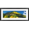 Panoramic Images - Aspen trees on mountain, Needle Rock, Gold Hill, Uncompahgre National Forest, Telluride, Colorado, USA (R778950-AEAEAGOFDM)