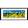 Panoramic Images - Aspen trees with mountain in the background, Sunshine Peak, Uncompahgre National Forest, near Telluride, Colorado, USA (R778953-AEAEAGOFDM)