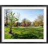 Panoramic Images - Sherwood Gardens, Baltimore (R782303-AEAEAGOFDM)