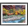 Panoramic Images - Virgin River and rock face at Big Bend, Zion National Park, Springdale, Utah, USA (R782304-AEAEAGOFDM)