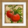 Janet Stever - Tomatoes (R782989-AEAEAG8FE4)