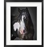 David Drost - Horse Portrait II (R783813-AEAEAGOFLM)