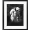 David Drost - Horse Portrait V (R783816-AEAEAGOFLM)