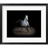 David Drost - Horse Portrait IX (R783820-AEAEAGOFLM)