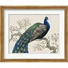 Timothy O'Toole - Peacock & Blossoms I (R787545-AEAEAG8FM4)