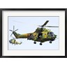 Anton Balakchiev/Stocktrek Images - Romanian Air Force IAR-330L SOCAT helicopters (R788041-AEAEAGOFDM)