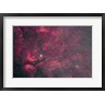 Alan Dyer/Stocktrek Images - Gamma Cygni nebulosity complex with the Crescent Nebula (R788071-AEAEAGOFDM)