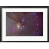 Alan Dyer/Stocktrek Images - Head of Scorpius with celestial deep sky objects (R788072-AEAEAGOFDM)