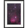 Alan Dyer/Stocktrek Images - NGC 3766 and the Lambda Cen Nebula in the constellation Centaurus (R788080-AEAEAGOFDM)