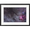 Alan Dyer/Stocktrek Images - The North America Nebula and dark nebulae in Cygnus (R788095-AEAEAGOFDM)